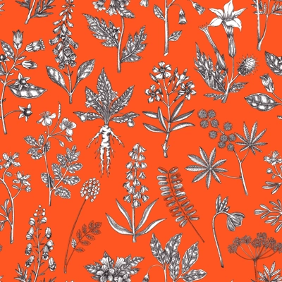 Witch herbs seamless pattern. Poisonous plants background. Apothecary herbs hand-drawn vector illustration. Bohemian design. NOT AI generated